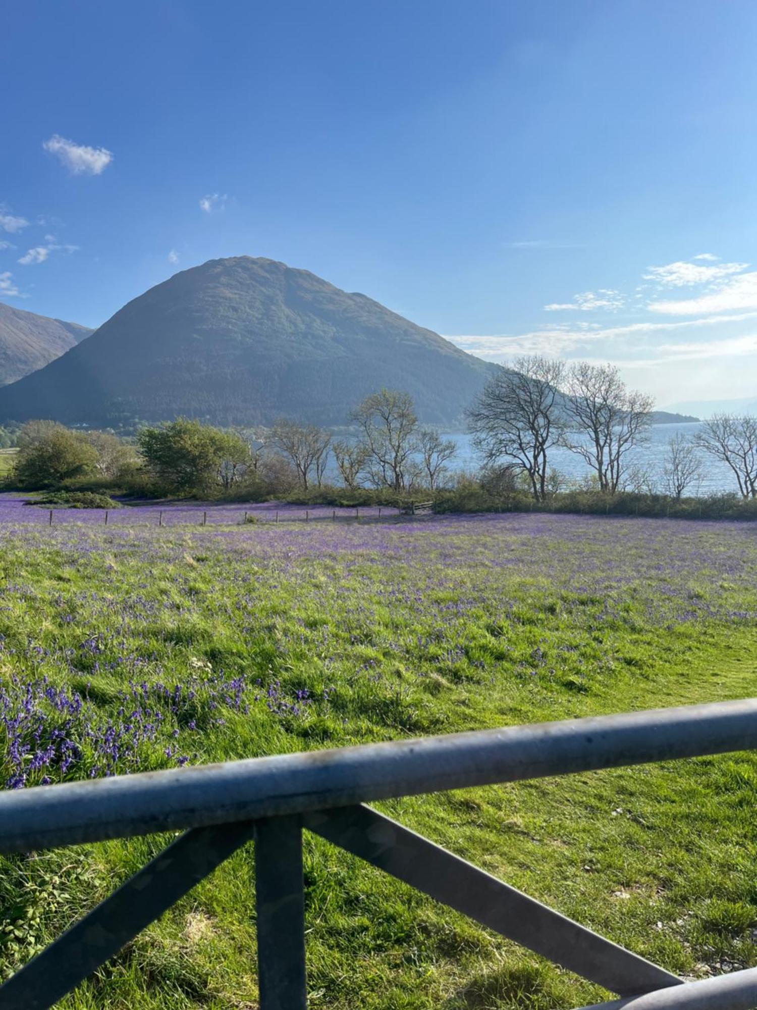 View Of The Mountain Daire North Ballachulish Dış mekan fotoğraf